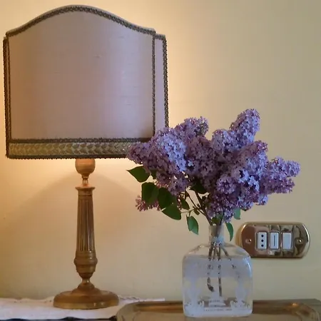 Casa Forster Bed and Breakfast