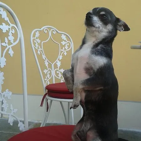 Bed and Breakfast Casa Forster Cannero Riviera